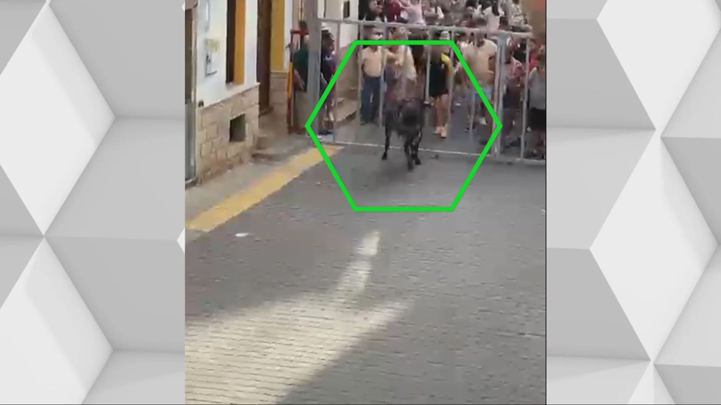 Se busca vaquilla: los vecinos de Minglanilla (Cuenca) se movilizan para localizarla tras su huida de los encierros Se busca vaquilla: los vecinos de Minglanilla (Cuenca) se movilizan para localizarla tras su huida de los encierros