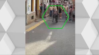 Se busca vaquilla: los vecinos de Minglanilla (Cuenca) se movilizan para localizarla tras su huida de los encierros