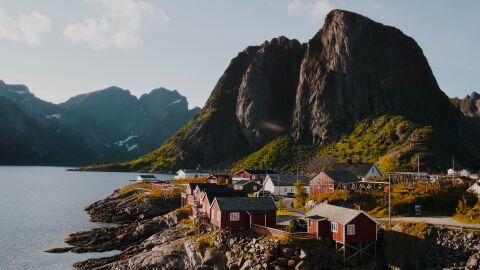 Reine