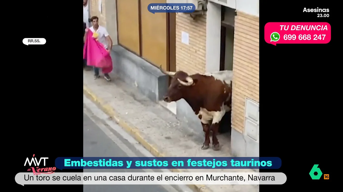 El susto del toro 'okupa' de Murchante: así se cuela en una casa en pleno encierro en Navarra Momentos de tensión e incertidumbre los que vivieron los vecinos de Murchante cuando un toro que participaba en los encierros de la localidad decidió meterse en una casa. Finalmente el astado salió de la vivienda sin mayores incidentes.