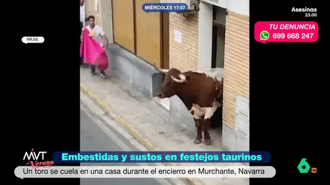 El susto del toro 'okupa' de Murchante: así se cuela en una casa en pleno encierro en Navarra Momentos de tensión e incertidumbre los que vivieron los vecinos de Murchante cuando un toro que participaba en los encierros de la localidad decidió meterse en una casa. Finalmente el astado salió de la vivienda sin mayores incidentes.