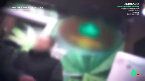 La advertencia de una vendedora sobre las gominolas con cannabinoide: "Comer una por persona, porque son muy fuertes" La advertencia de una vendedora sobre las gominolas con cannabinoide: "Comer una por persona, porque son muy fuertes"
