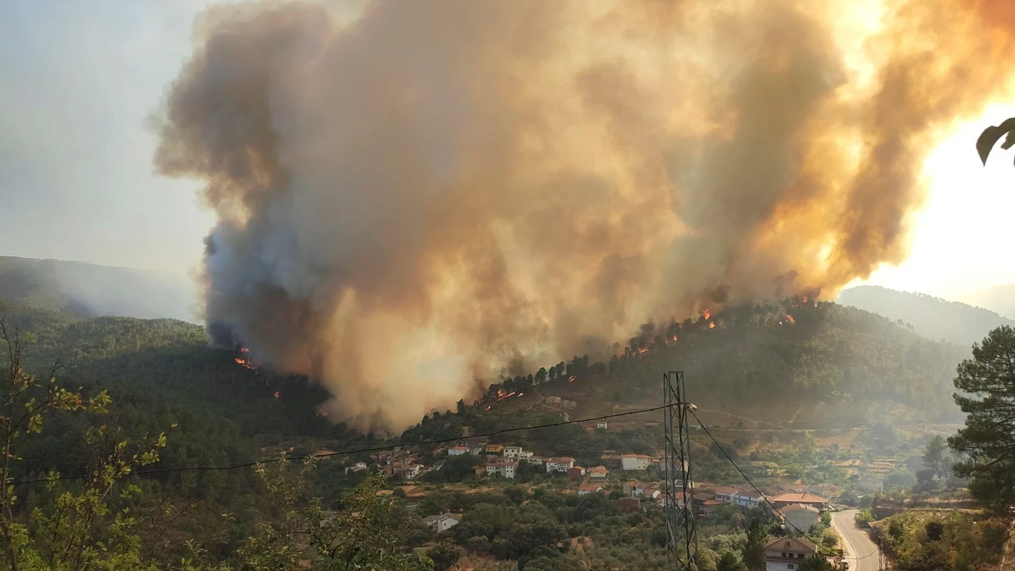 El incendio forestal declarado en Pinofranqueado (Cáceres) El incendio forestal declarado en Pinofranqueado (Cáceres)