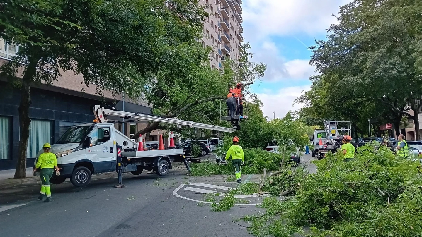 Árbol caído en el Primer Ensanche de Pamplona tras la tormenta registrada el jueves Árbol caído en el Primer Ensanche de Pamplona tras la tormenta registrada el jueves