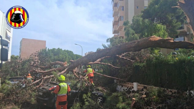 Imagen de los destrozos provocados por el temporal