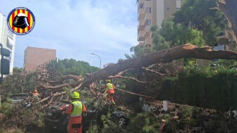 Imagen de los destrozos provocados por el temporal