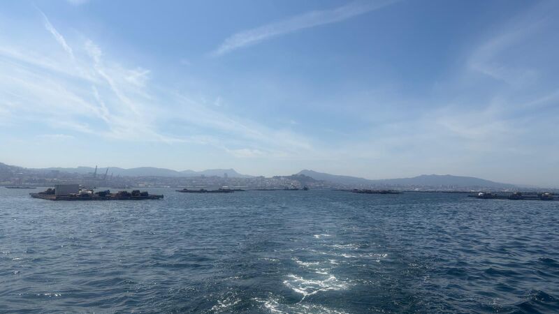 ¿Sabes por qué la costa gallega es de las más fértiles del planeta?