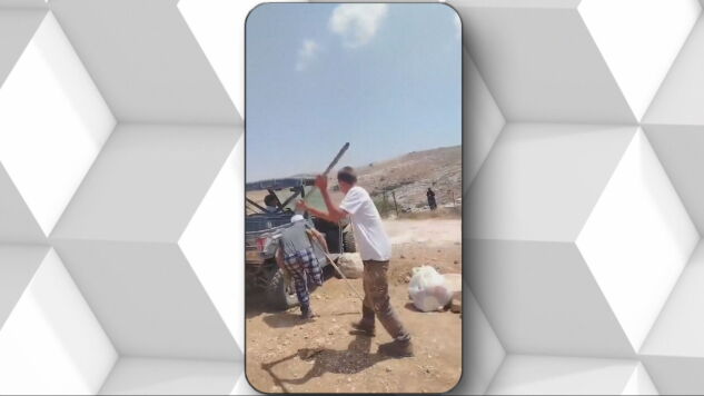 Un colono israel&iacute;, en plena agresi&oacute;n