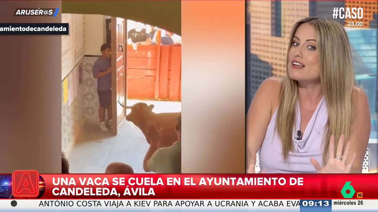 El tenso momento cuando una vaquilla se cuela en el Ayuntamiento de Candeleda y un joven se refugia detrás de una puerta El tenso momento cuando una vaquilla se cuela en el Ayuntamiento de Candeleda y un joven se refugia detrás de una puerta
