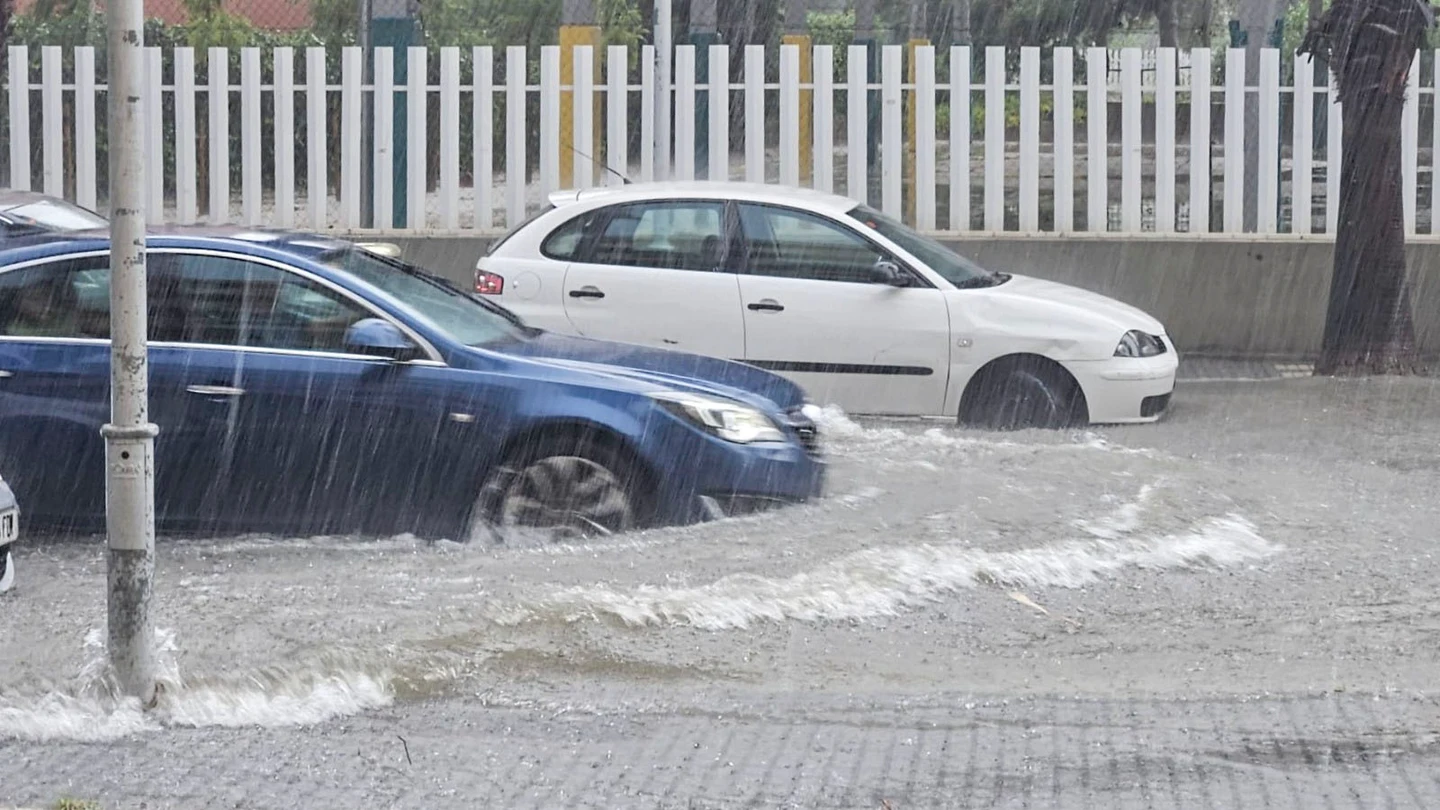 La lluvia y el fuerte viento causan pequeñas inundaciones y caídas de árboles en Tarragona este lunes. La lluvia y el fuerte viento causan pequeñas inundaciones y caídas de árboles en Tarragona este lunes.
