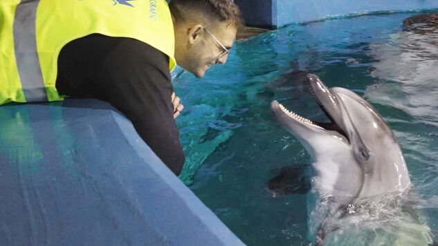 De Canad&aacute; a Valencia para salvar sus vidas: as&iacute; ha sido el viaje de las belugas Jelly Bean y Cleopatra