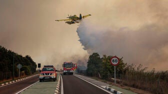 Un hidroavi&oacute;n realiza una descarga de agua sobre la carretera CV-500 ante el avance del incendio forestal declarado este jueves en la Gola de Pujol, dentro de la Devesa.
