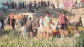 Manifestantes atacan el asentamiento de migrante en la playa de Ben&iacute;tez de Ceuta. 