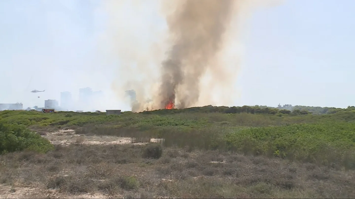 Un incendio en la Devesa de El Saler de València obliga a hacer desalojos preventivos Un incendio en la Devesa de El Saler de València obliga a hacer desalojos preventivos