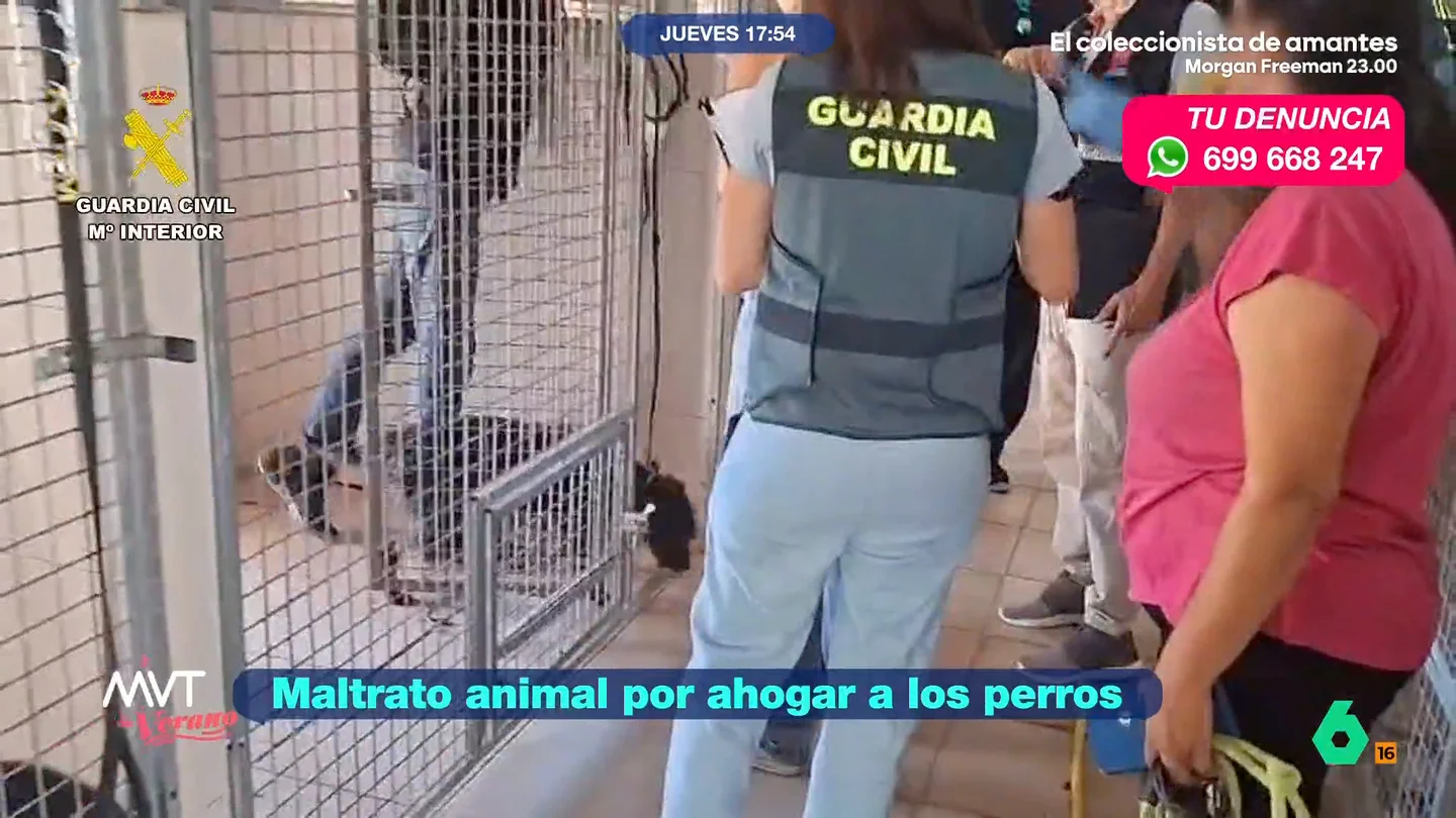 La Guardia Civil cierra una residencia canina en Madrid por maltrato animal: nueve perros han tenido que ser hospitalizados La Guardia Civil entraba y clausuraba una residencia canina en Madrid tras constatar el mal estado de los animales que estaban allí. De los 47 perros, uno había muerto y otros nueve se encontraban en mal estado por lesiones y parásitos.