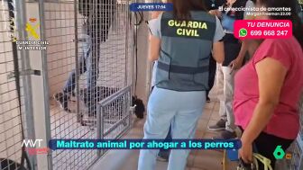 La Guardia Civil entraba y clausuraba una residencia canina en Madrid tras constatar el mal estado de los animales que estaban all&iacute;. De los 47 perros, uno hab&iacute;a muerto y otros nueve se encontraban en mal estado por lesiones y par&aacute;sitos.