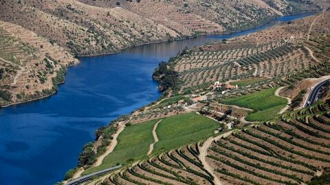 Viñedos en Douro, Portugal