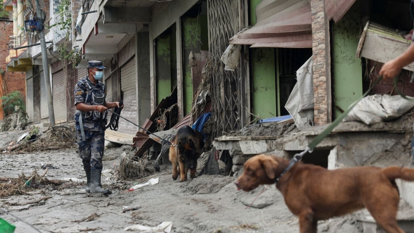 Agentes con perros buscan a supervivientes de la riada en Nepal
