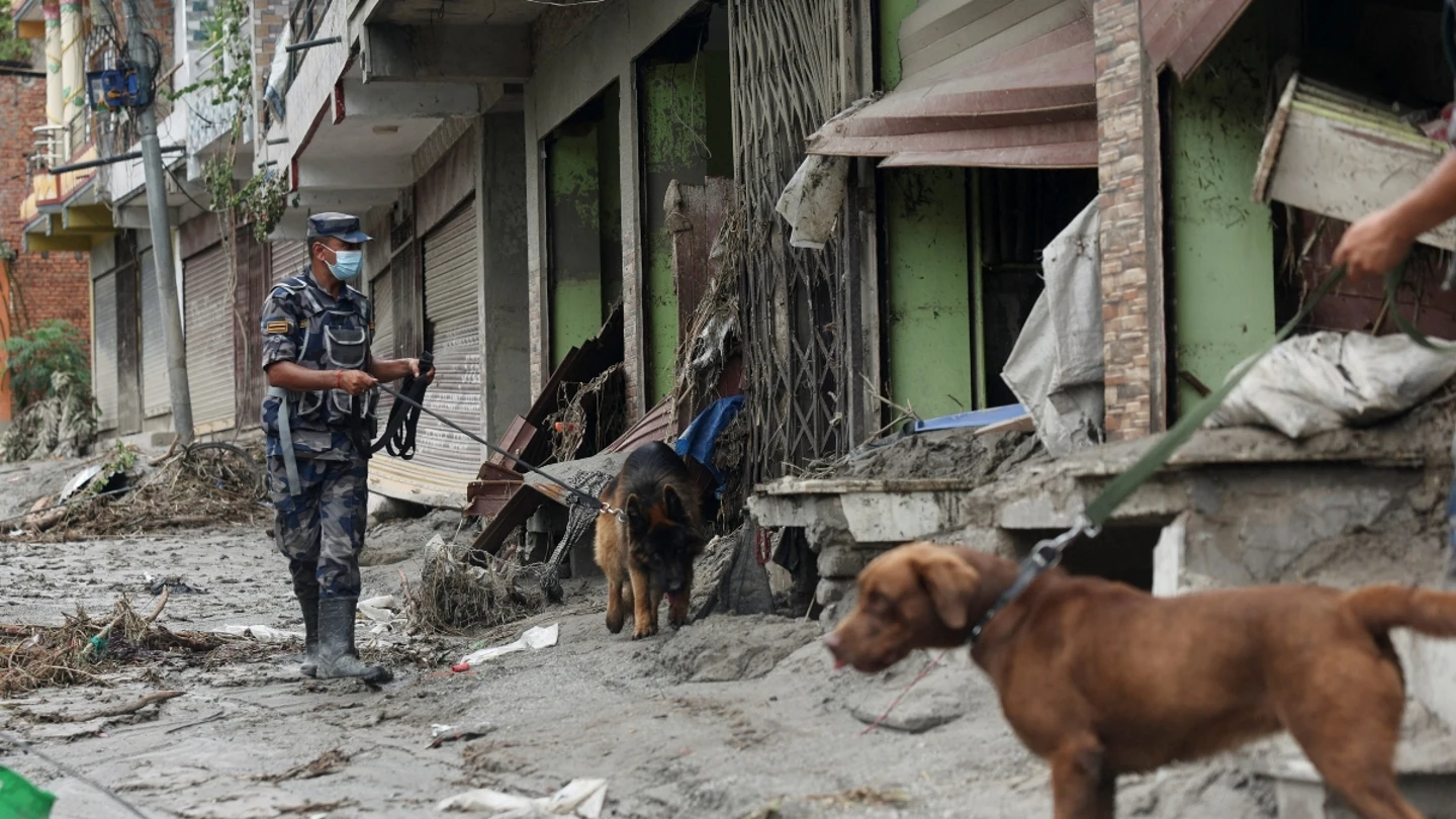 Agentes con perros buscan a supervivientes de la riada en Nepal Agentes con perros buscan a supervivientes de la riada en Nepal