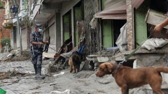 Agentes con perros buscan a supervivientes de la riada en Nepal