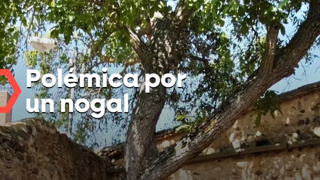 Pol&eacute;mica por un nogal