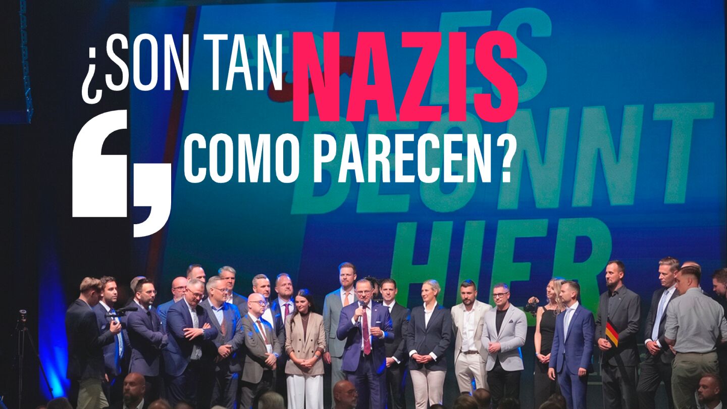 AfD, un partido neonazi