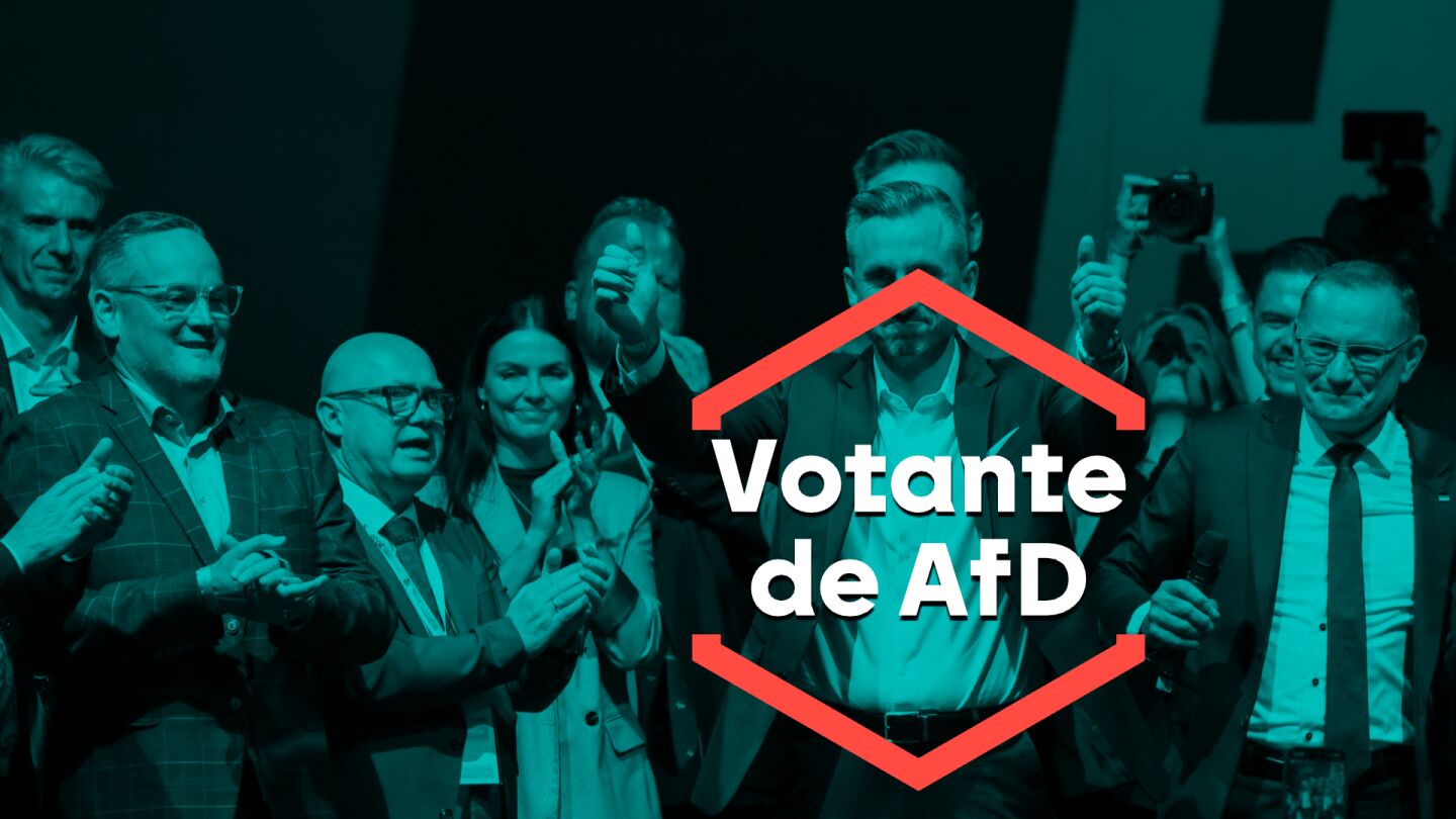 Votante de AfD
