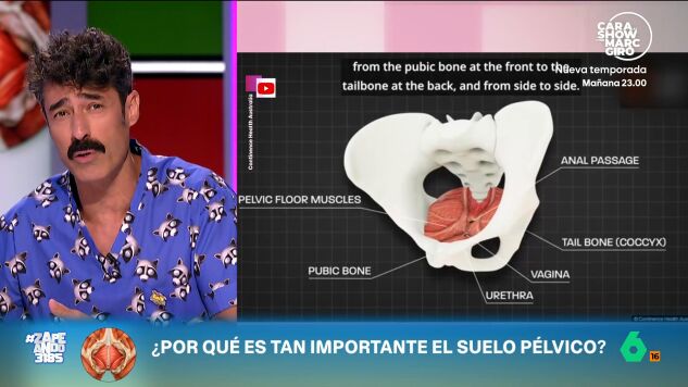 El experto indica que este conjunto de m&uacute;sculos y ligamentos son muy importantes debido a que participan, entre otras cosas, en la incontinencia urinaria, la respiraci&oacute;n o la funci&oacute;n sexual. 