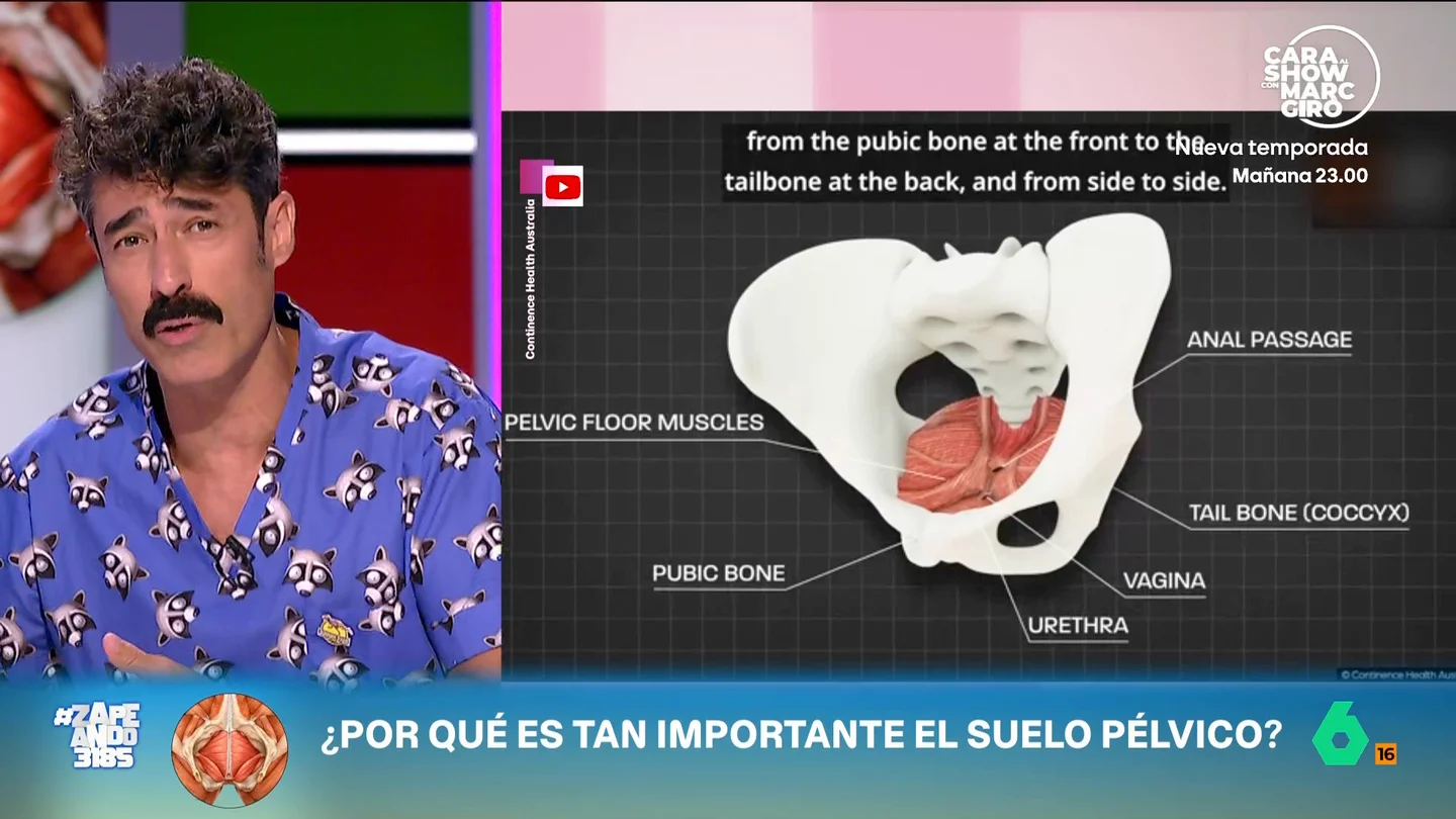 El fisioterapeuta Víctor Hernán explica por qué es tan importante el suelo pélvico El experto indica que este conjunto de músculos y ligamentos son muy importantes debido a que participan, entre otras cosas, en la incontinencia urinaria, la respiración o la función sexual.