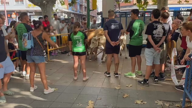 Un becerro descontrolado desata el caos en un encierro infantil en Calatayud (Zaragoza)