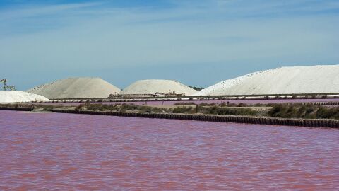 Salinas de Aigues-Mortes