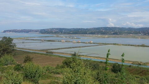 Salinas de Secovlje