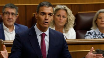 Pedro S&aacute;nchez en el Congreso de los Diputados.