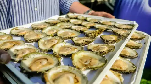 Bandeja en el Festival de Ostras de Galway Bandeja en el Festival de Ostras de Galway