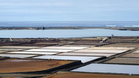 Salinas de Janubio