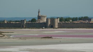 Salinas de Aigues-Mortes 