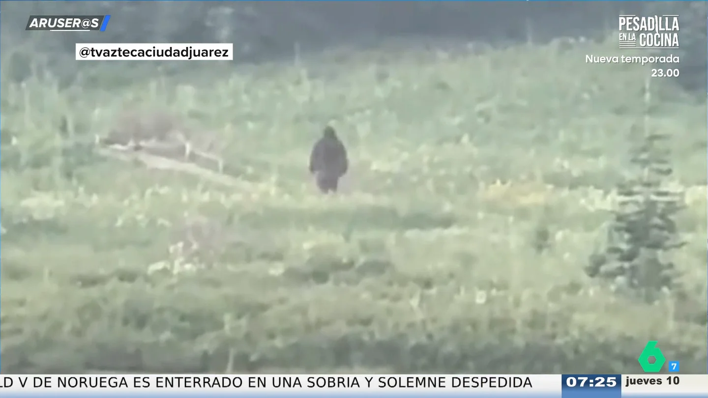 La broma viral de un vecino de Minnesota desata la locura por un supuesto 'Bigfoot' La broma viral de un vecino de Minnesota desata la locura por un supuesto 'Bigfoot'