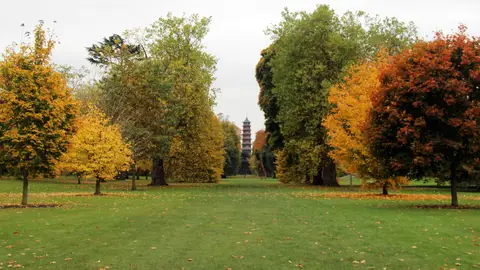 Kew Gardens en otoño Kew Gardens en otoño