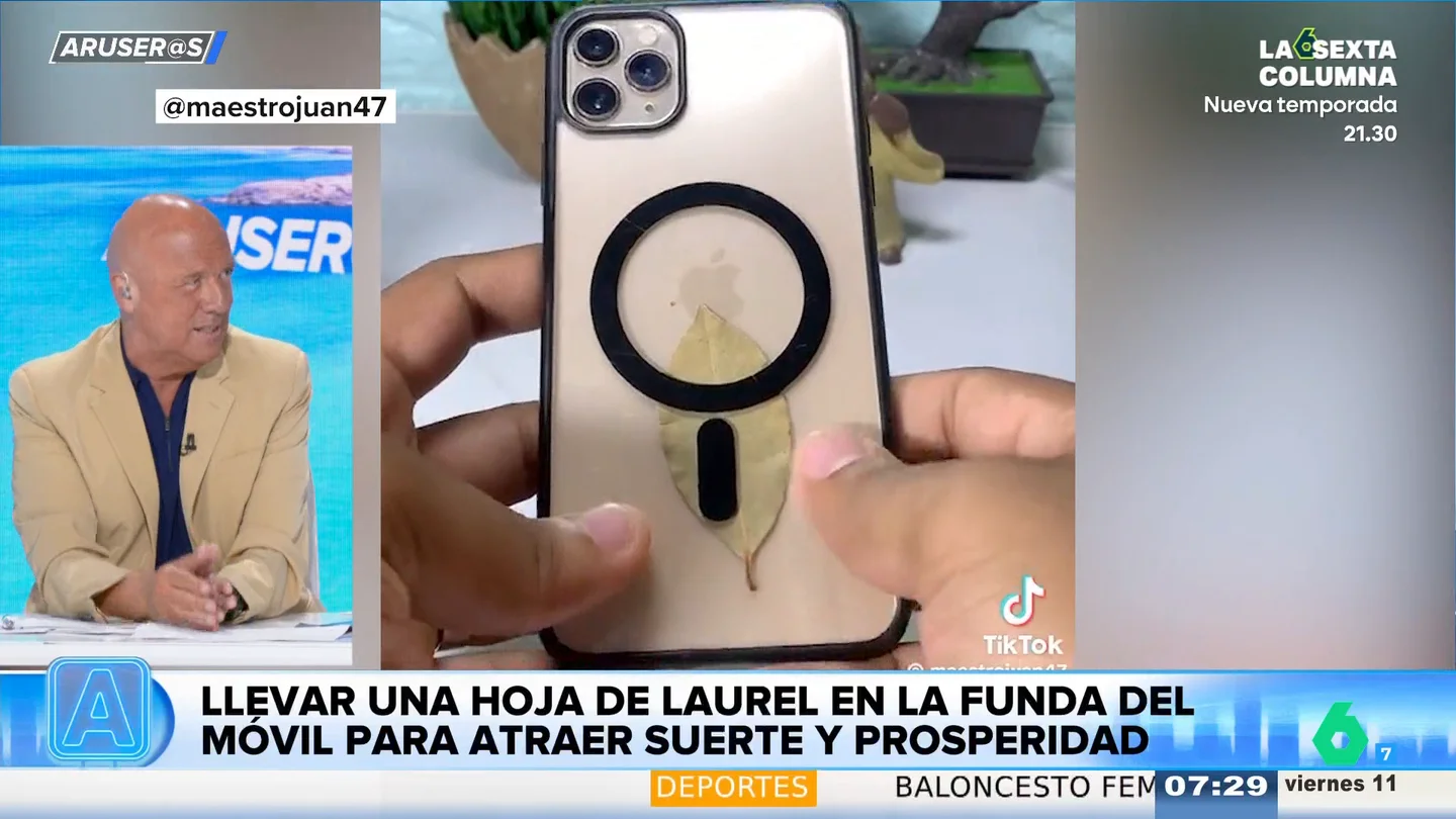 La nueva moda viral para atraer la suerte: llevar una hoja de laurel en la funda del móvil La nueva moda viral para atraer la suerte: llevar una hoja de laurel en la funda del móvil