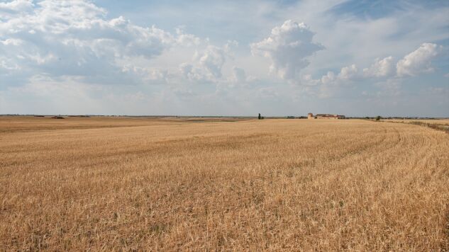 Imagen de archivo de campo seco en Albacete por el calor