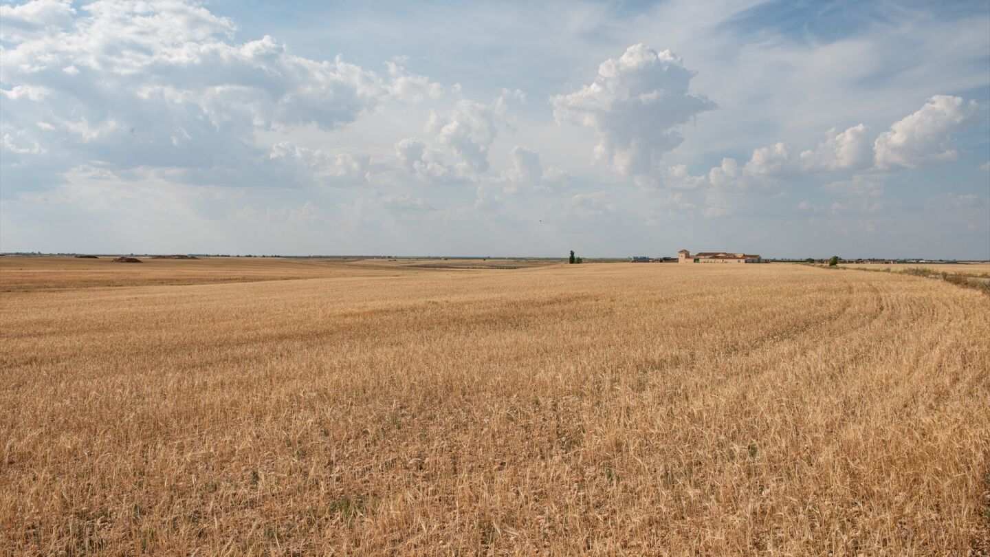 Imagen de archivo de campo seco en Albacete por el calor
