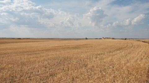 Imagen de archivo de campo seco en Albacete por el calor