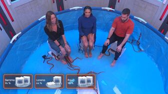 "&iexcl;Serpientes!": El inesperado susto de Lorena Castell, Yema Mengual y Ra&uacute;l Tej&oacute;n en la final de 'Congelados'