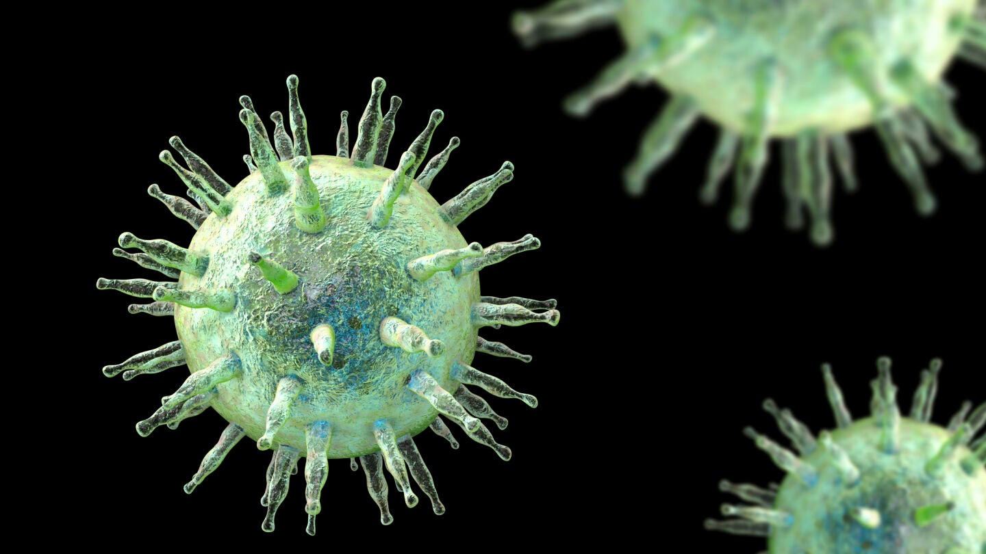 Virus de Epstein-Barr