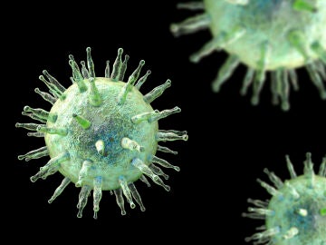 Virus de Epstein-Barr