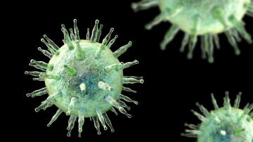 Virus de Epstein-Barr