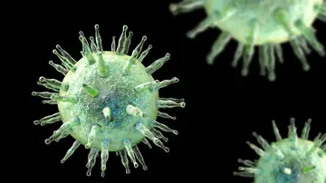 Virus de Epstein-Barr Virus de Epstein-Barr