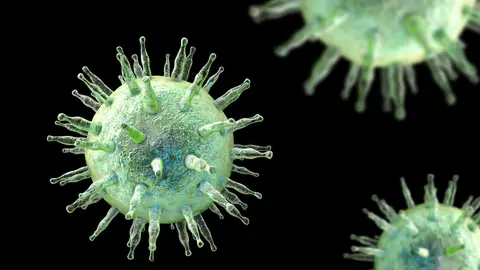 Virus de Epstein-Barr Virus de Epstein-Barr