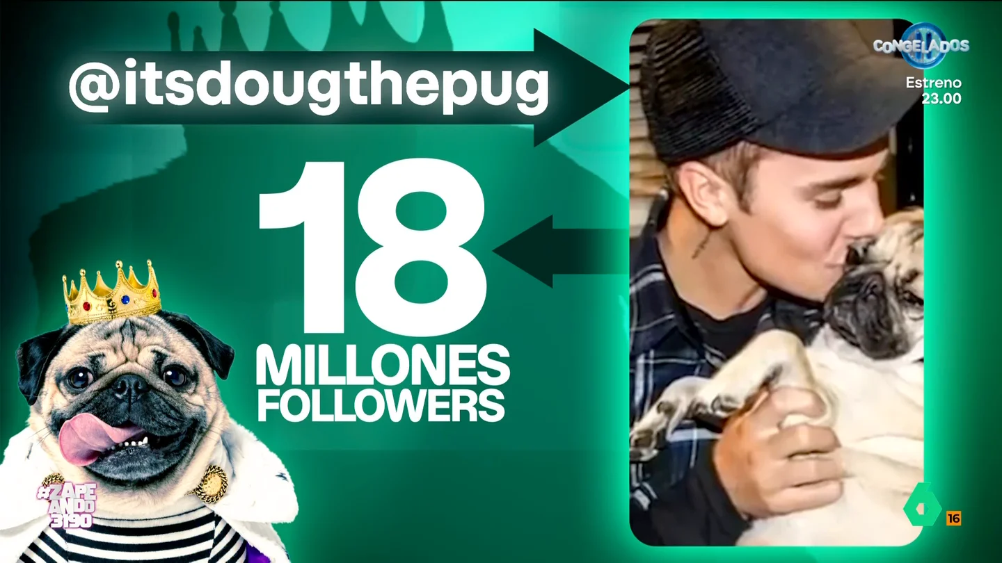 El 'dardo' de Dani Mateo contra el Gran Wyoming: señala su parecido con Doug the Pug Víctor Algra ha destacado el perfil de este carlino, muy conocido en redes sociales gracias a sus vídeos y fotos. Pero para el presentador de Zapeando, el animal tiene un gran parecido con el presentador de El Intermedio.