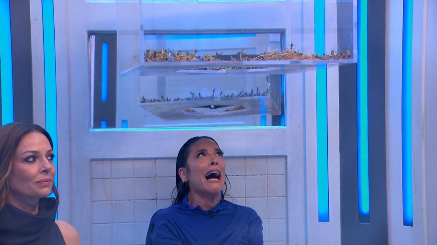 Los gritos de terror de Lorena Castell al enfrentarse a los saltamontes en su prueba de 'Congelados': "&iexcl;La meto y la saco!"